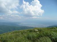 p1000017.JPG
