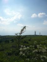 p1000022.JPG