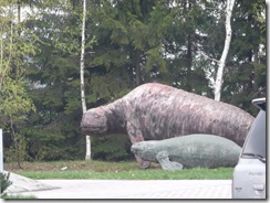 P1000859